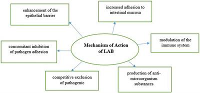 Recent development in the preservation effect of lactic acid bacteria and essential oils on chicken and seafood products